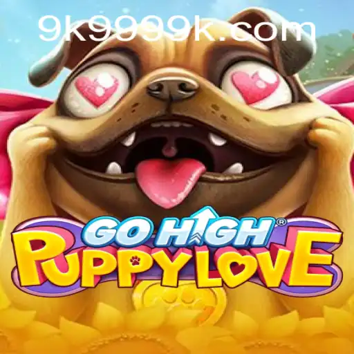 9k999 PH Login Casino App